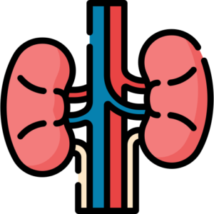 RFT ( RENAL FUNCTION TEST )